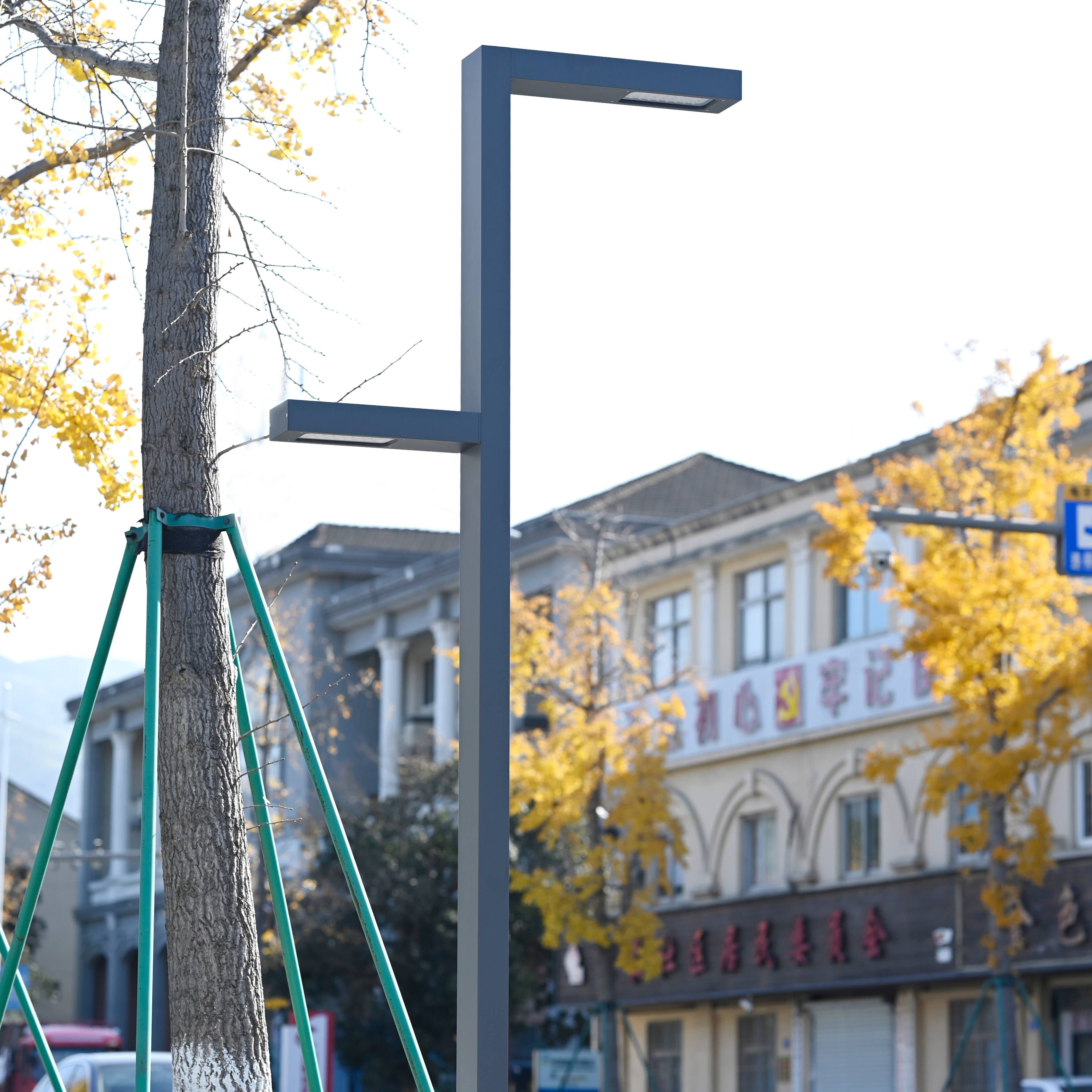 Smart City Outdoor IP66 AC LED Street Garden Light with NEMA Socket Photocell Control &amp; Dimmable Area Lighting