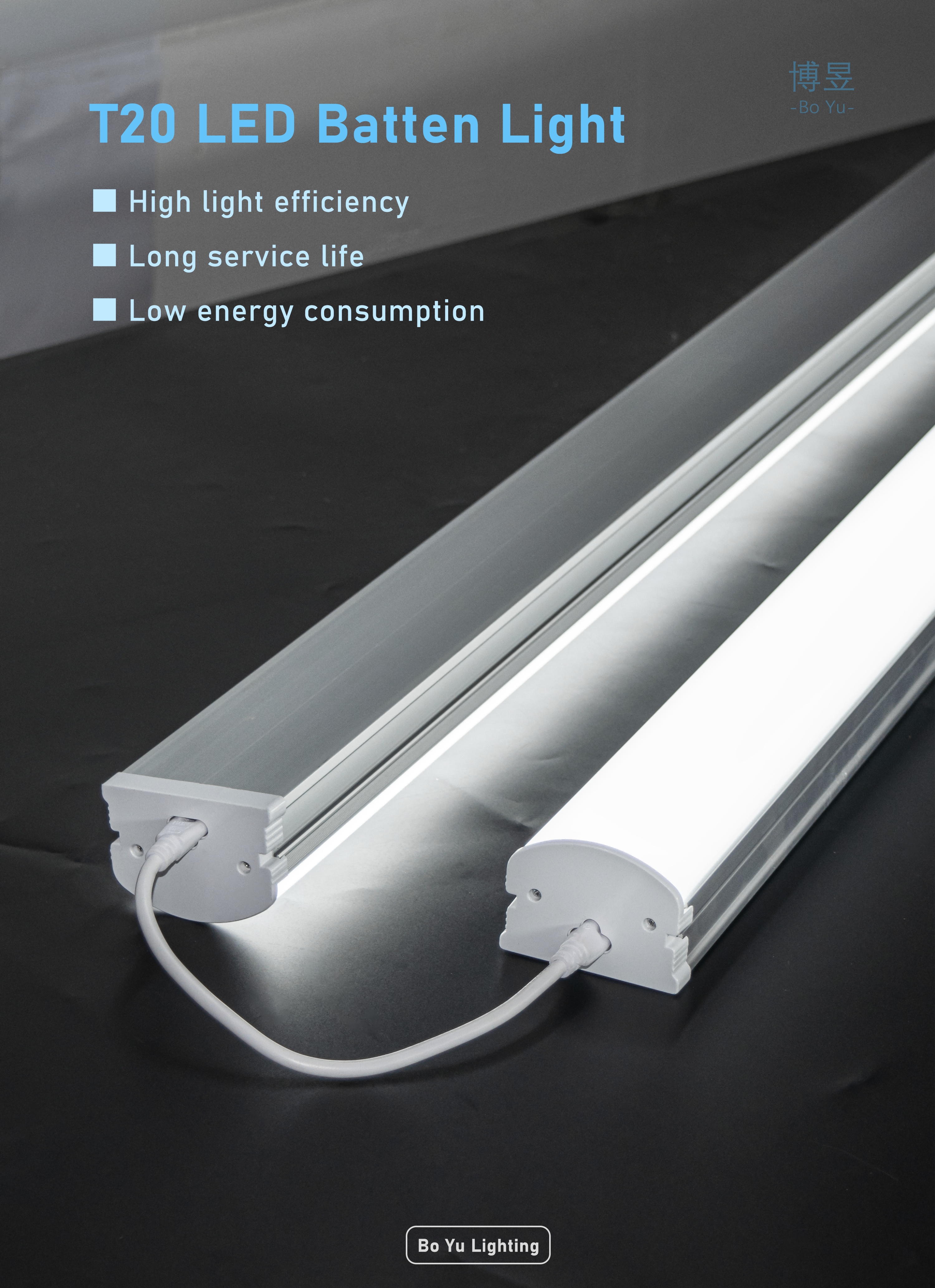 LED Linear Light