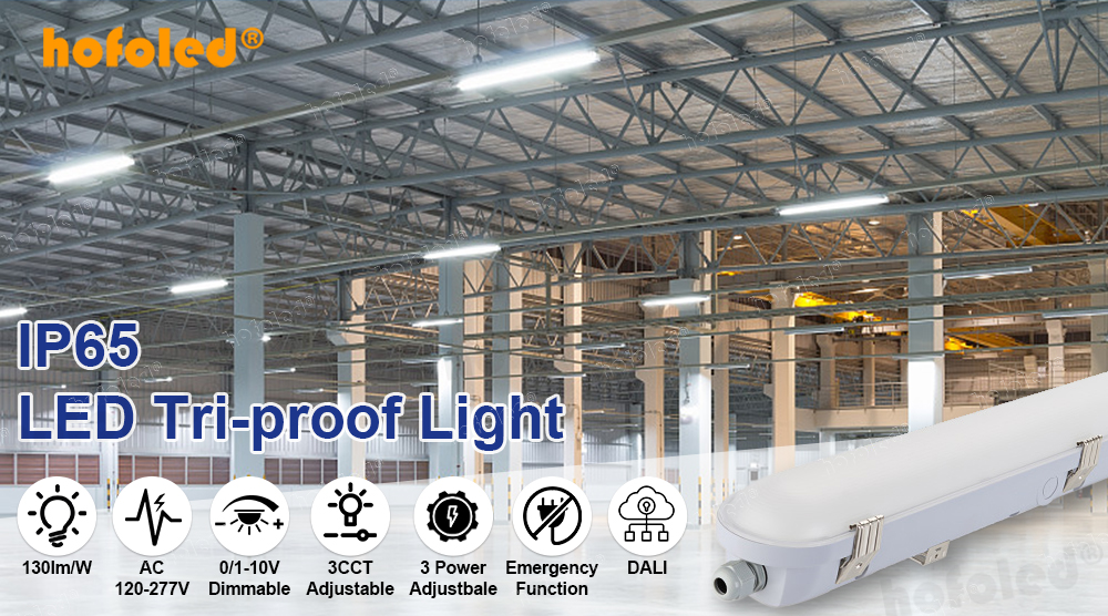IP69K LED Vapor Tight Light PMMA NSF HACCP Certified High Pressure Washdown 80-100 Bar Batten Tri-proof Light for Food Grade