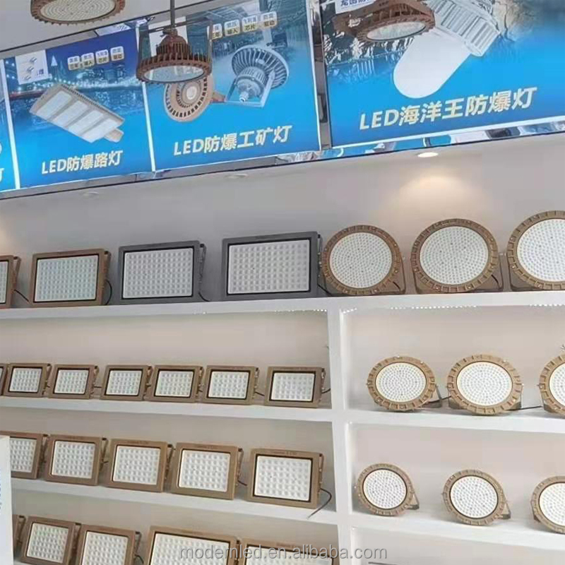 Explosion Proof ATEX LED Light 13