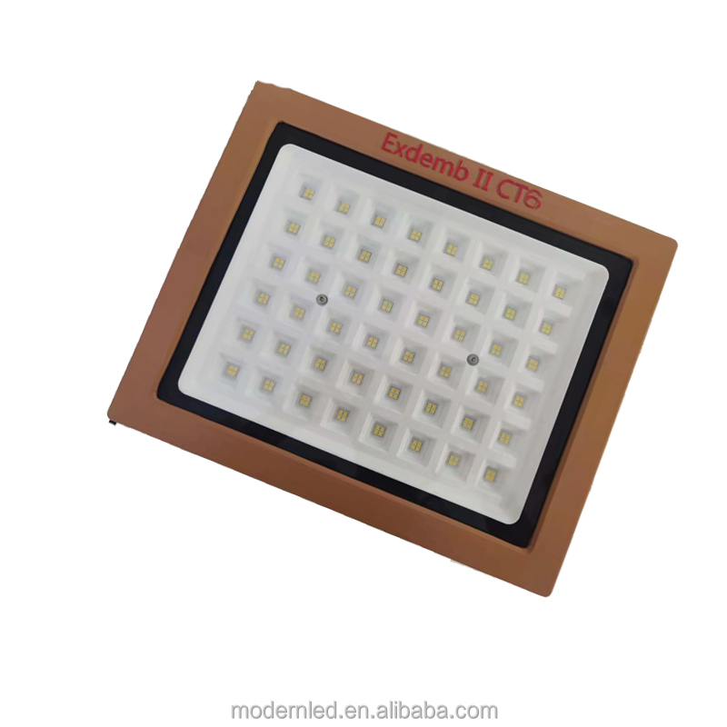 Explosion Proof ATEX LED Light 5