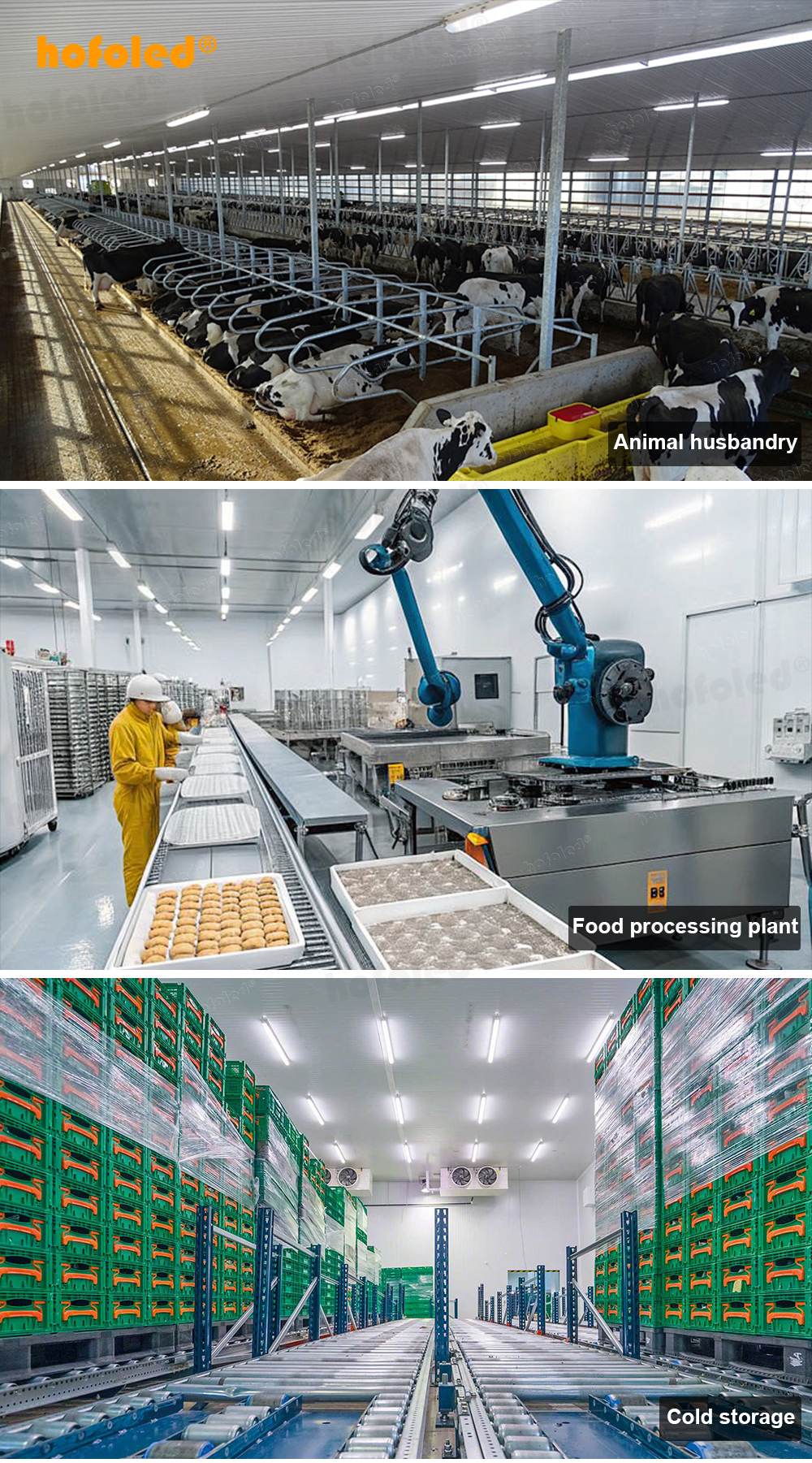 IP69K LED Vapor Tight Light PMMA NSF HACCP Certified High Pressure Washdown 80-100 Bar Batten Tri-proof Light for Food Grade