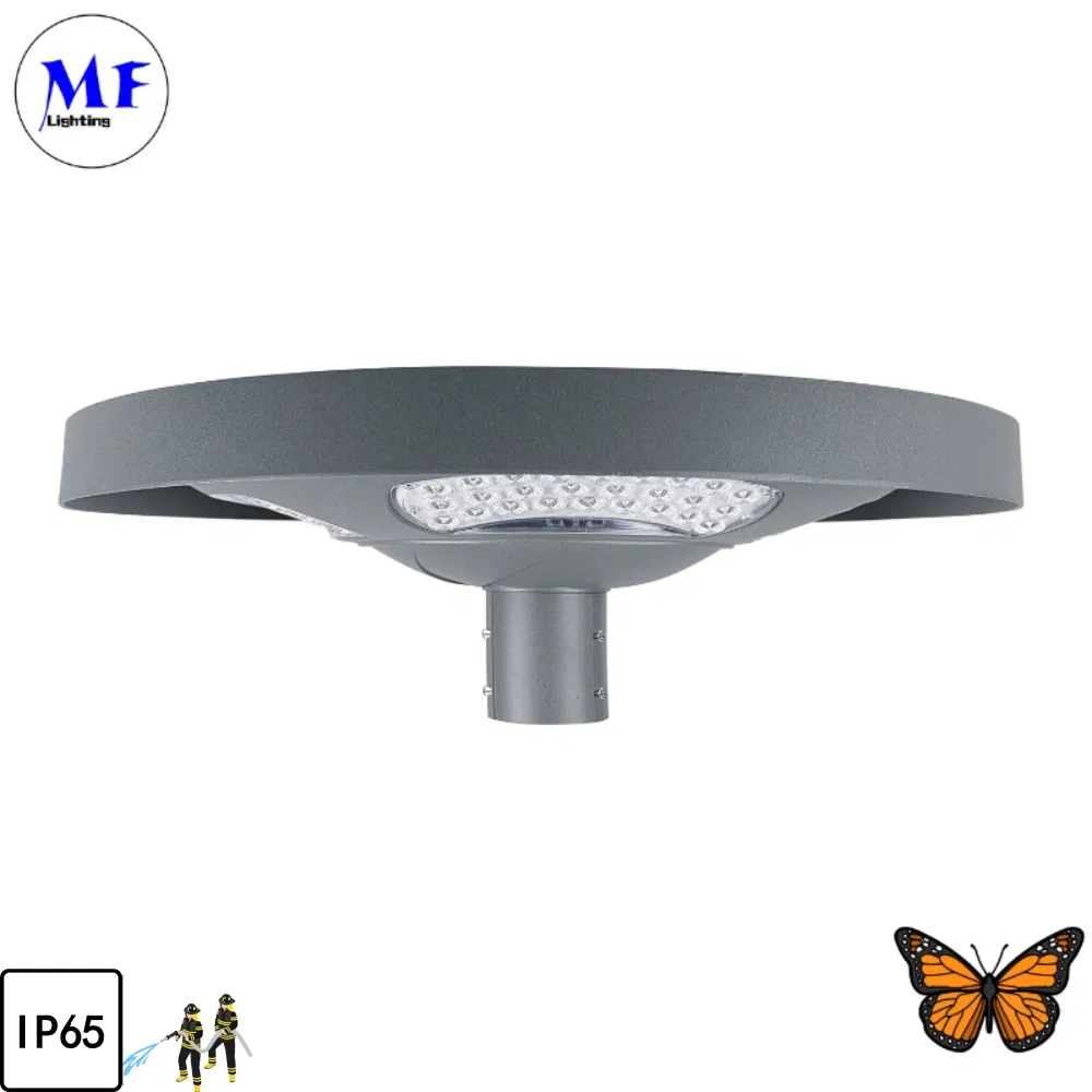16yrs Manufacture 2years Warranty IP65 Waterproof Outdoor 30W 40W Solar Yard Bollard Lawn Courtyard Lighting SMD LED Solar Garden Light