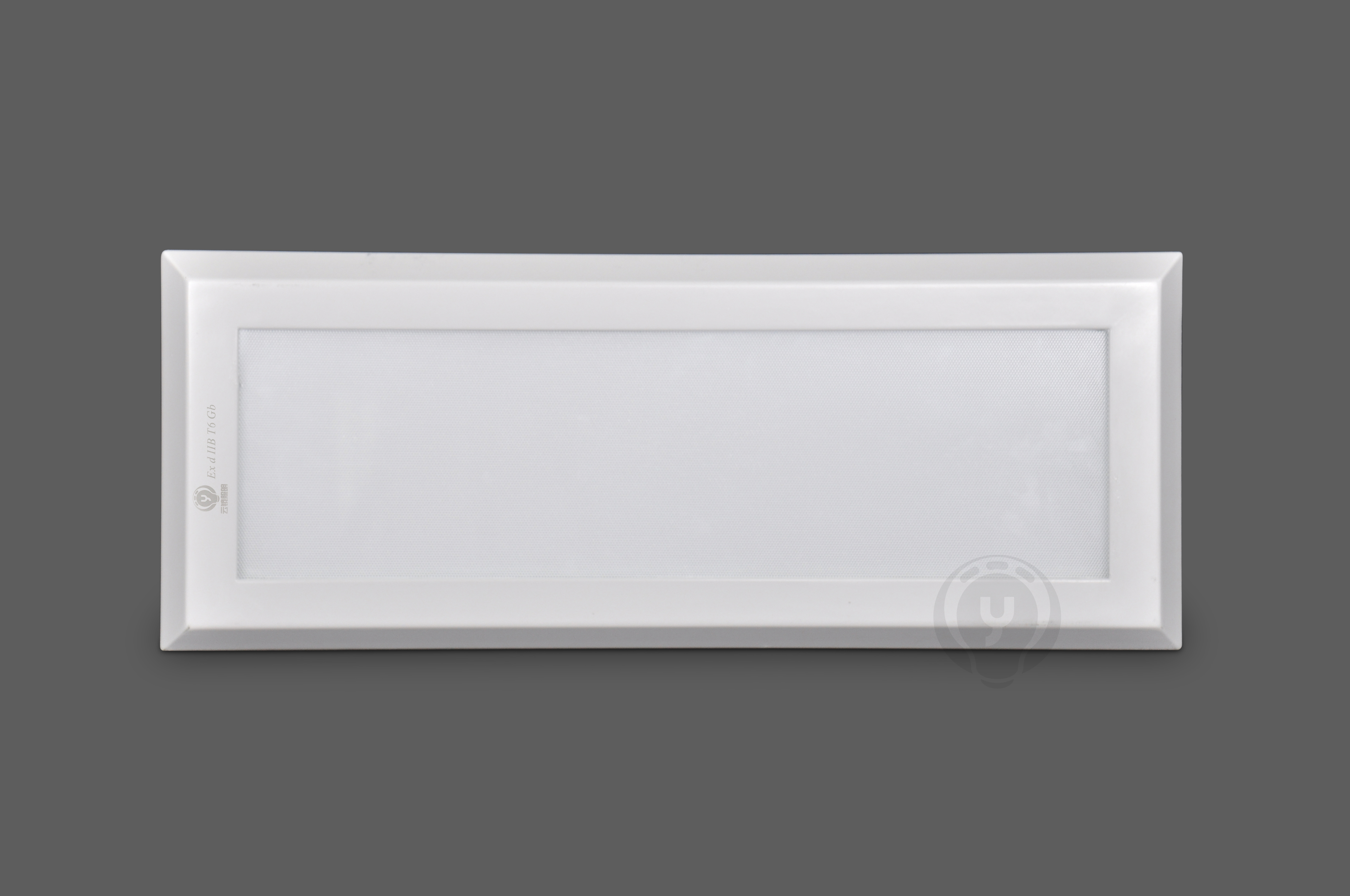 LED Explosion-proof flat light IP66 25W 40W 60w indoor Lighting with 8mm tempered glass for Zone 1 Zone 2 Hazardous Area