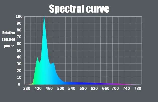 Dimensions and Scaling