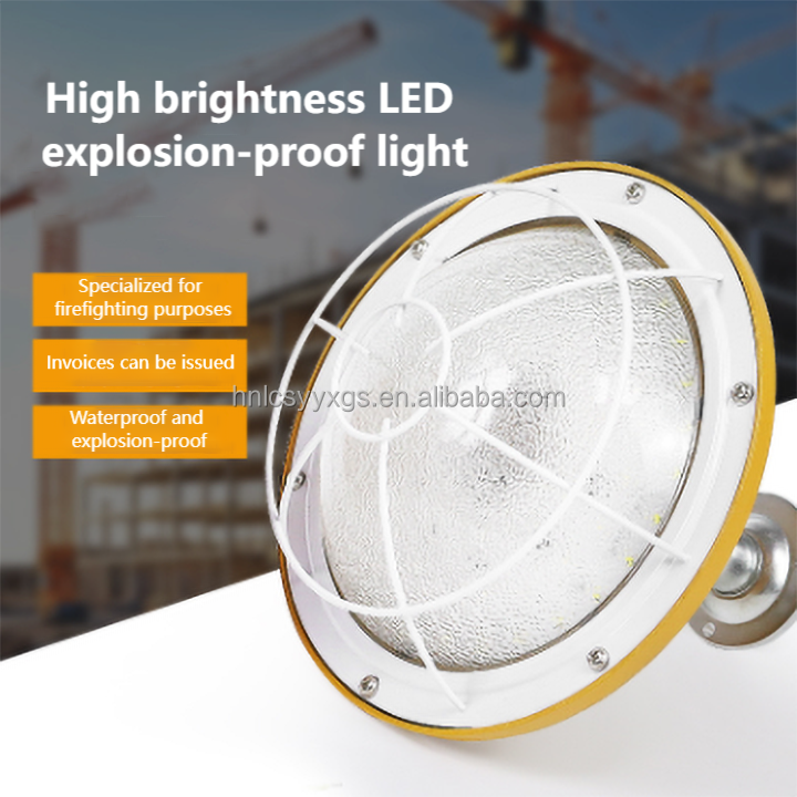 Hot Selling IP65 LED Explosion-Proof Lights for Coal Mining Dust Workshops Chemical Plants Flammable &amp; Explosive Spaces