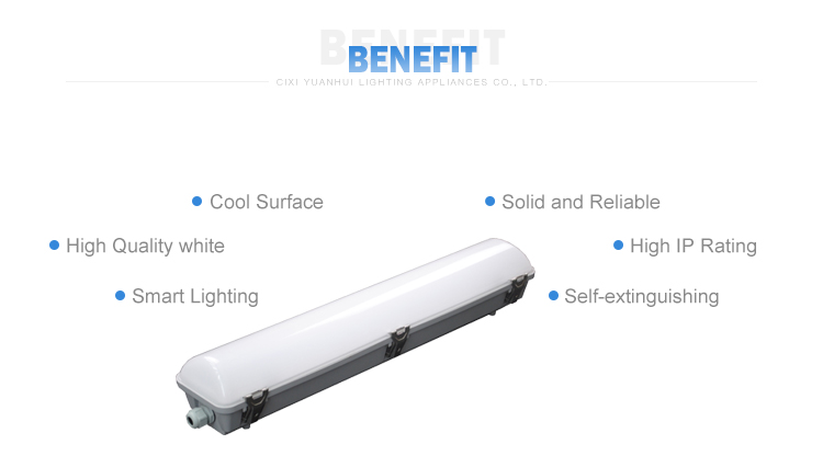 Linear Batten Light