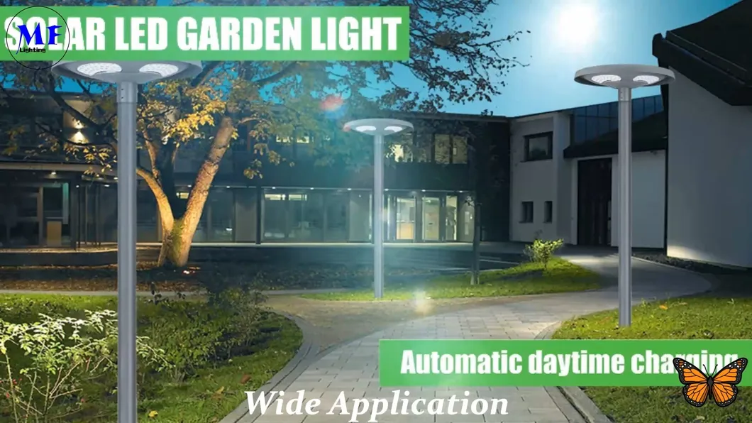 Solar Light Feature 6