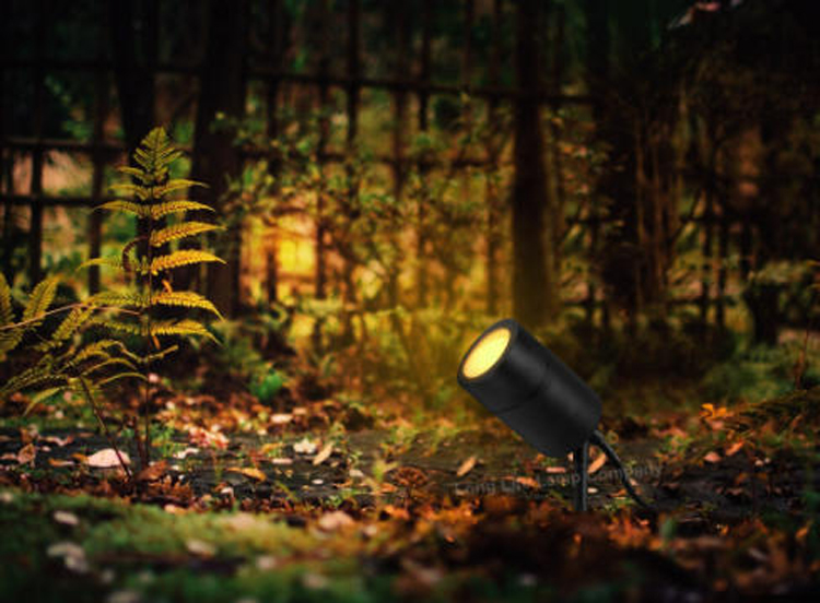 Outdoor Spot Light Performance