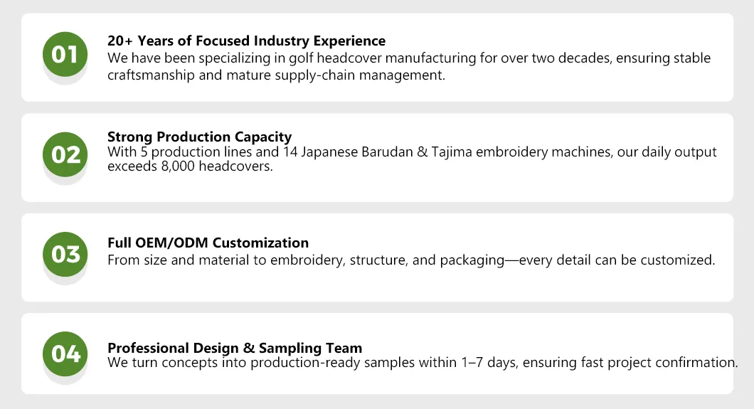 Our Company Advantages Infographic