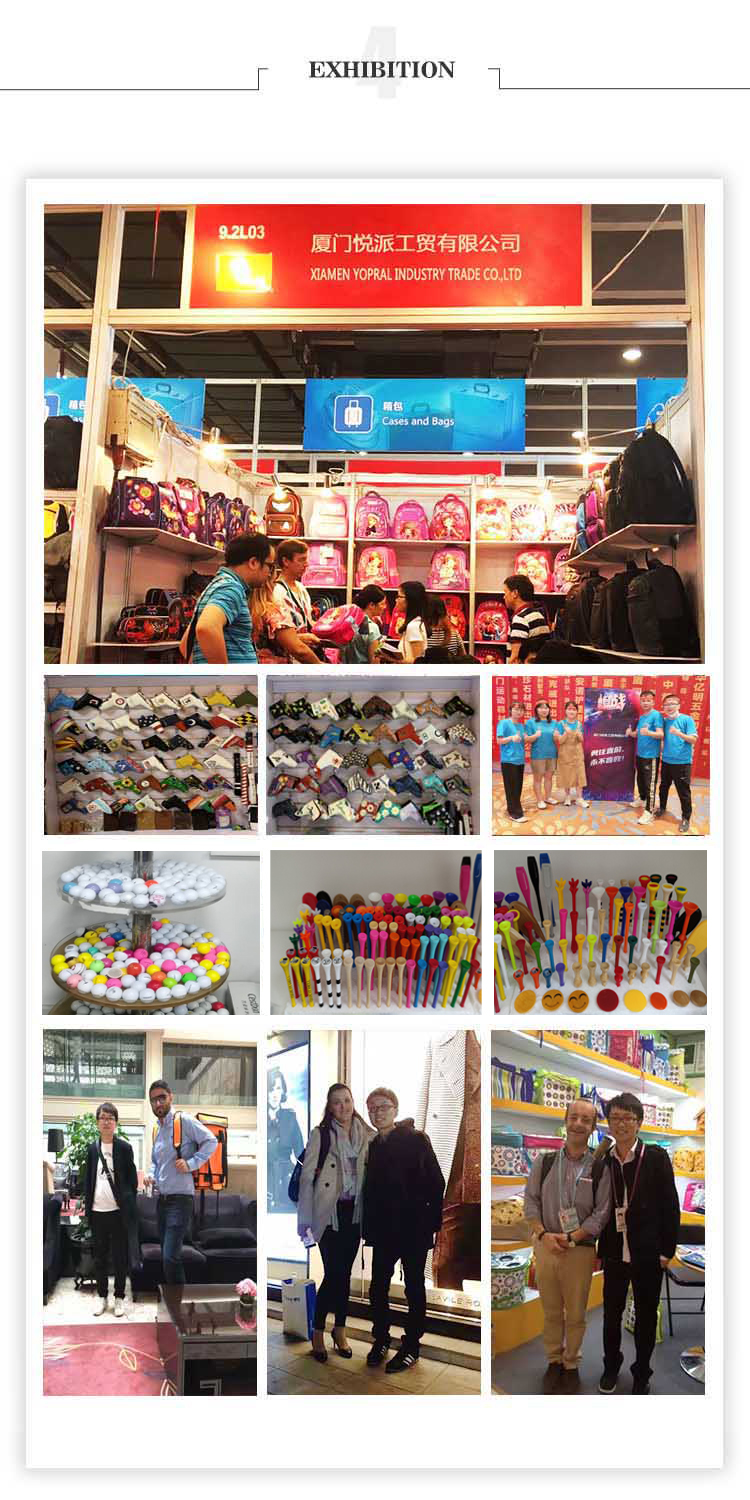 Exhibition Show
