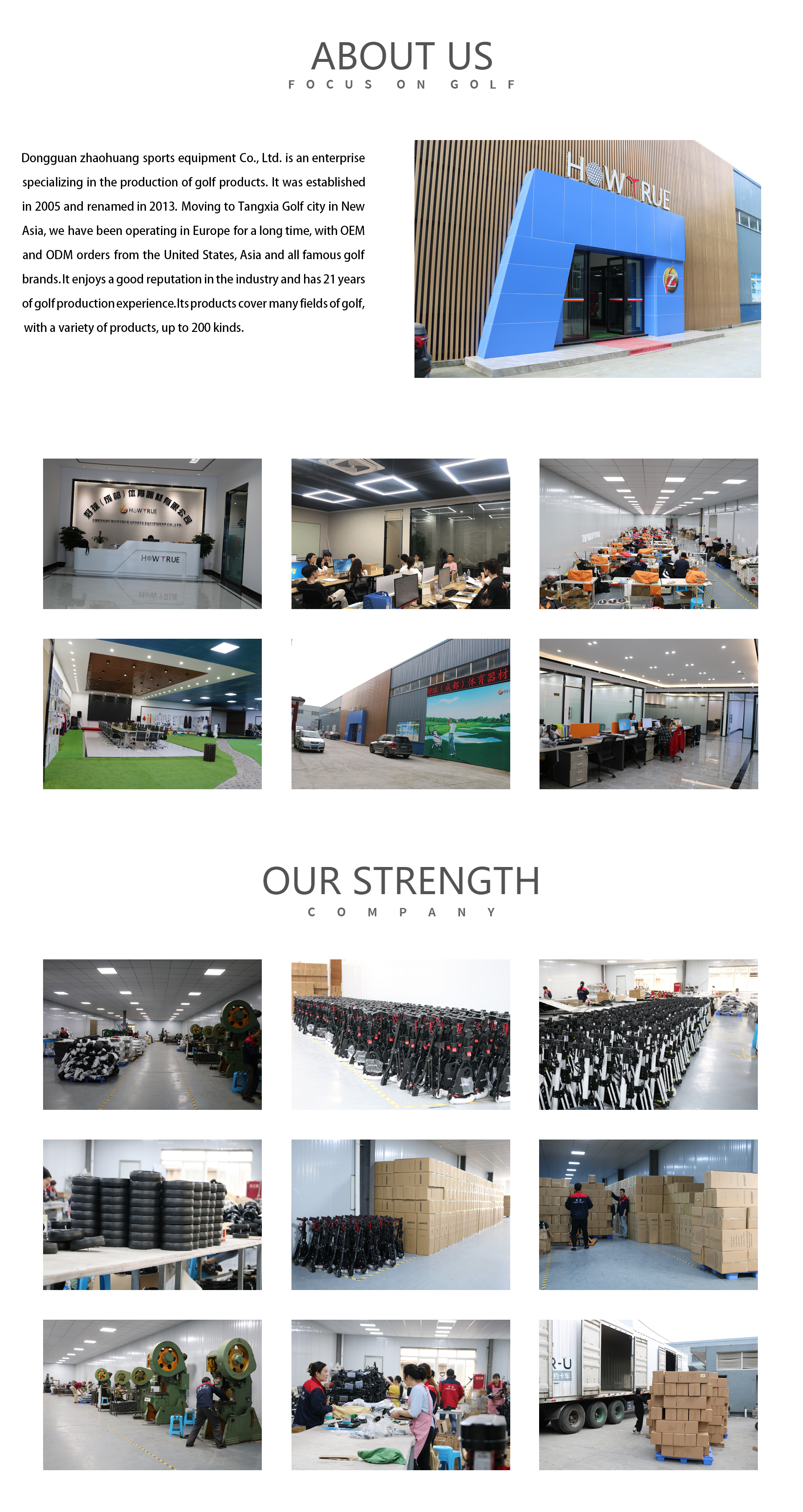 Golf Support System Banner
