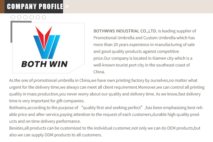 Company Profile Overview