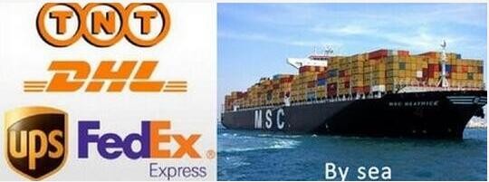 Logistics and shipment process
