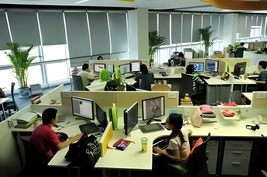 Company Office 2