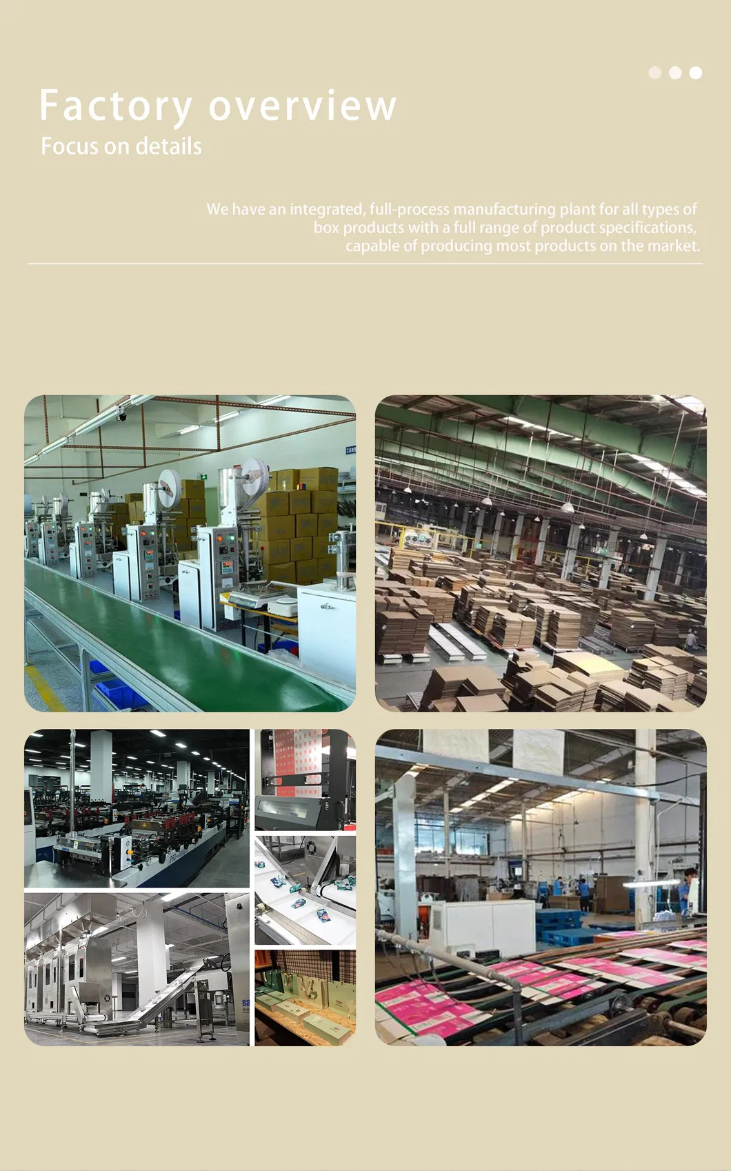 Soluções de Embalagem Global Ecológicas com Suporte Empresarial Abrangente