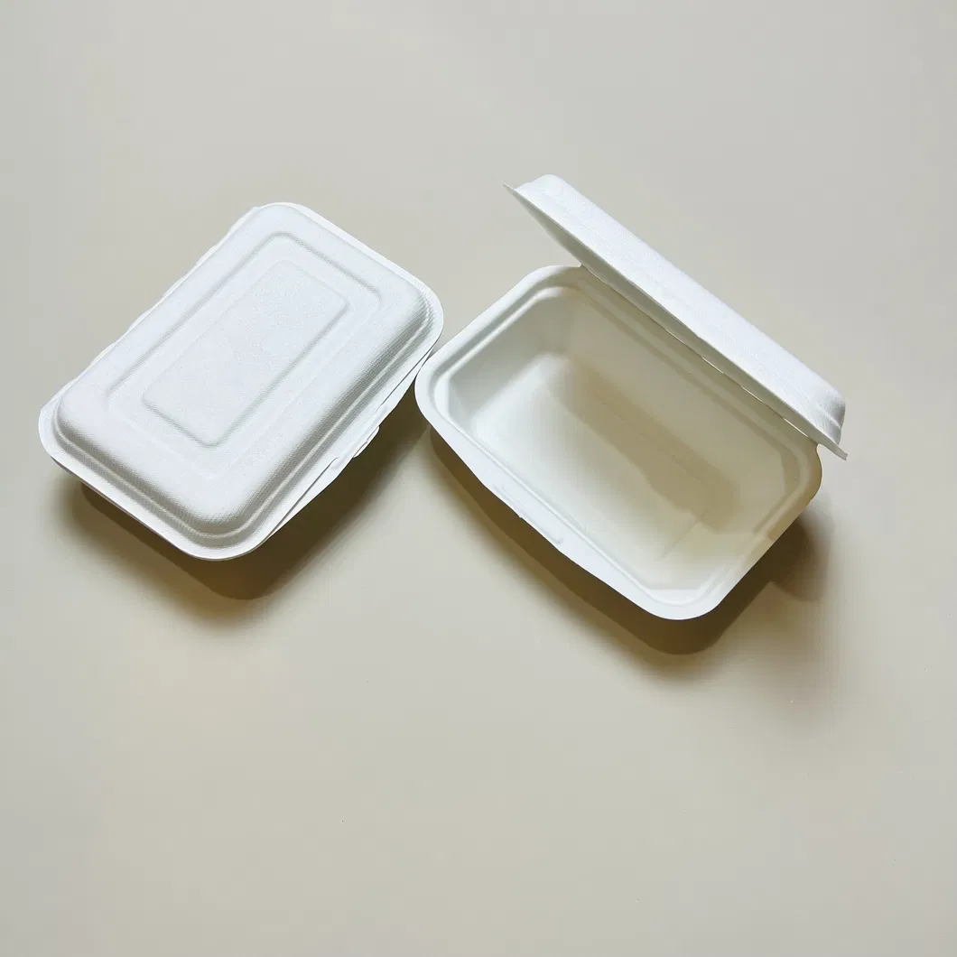 Container de Alimento Descartável de Bagasse para Comida para Viagem 9*6 Polegada Caixa Clamshell Cor Natural