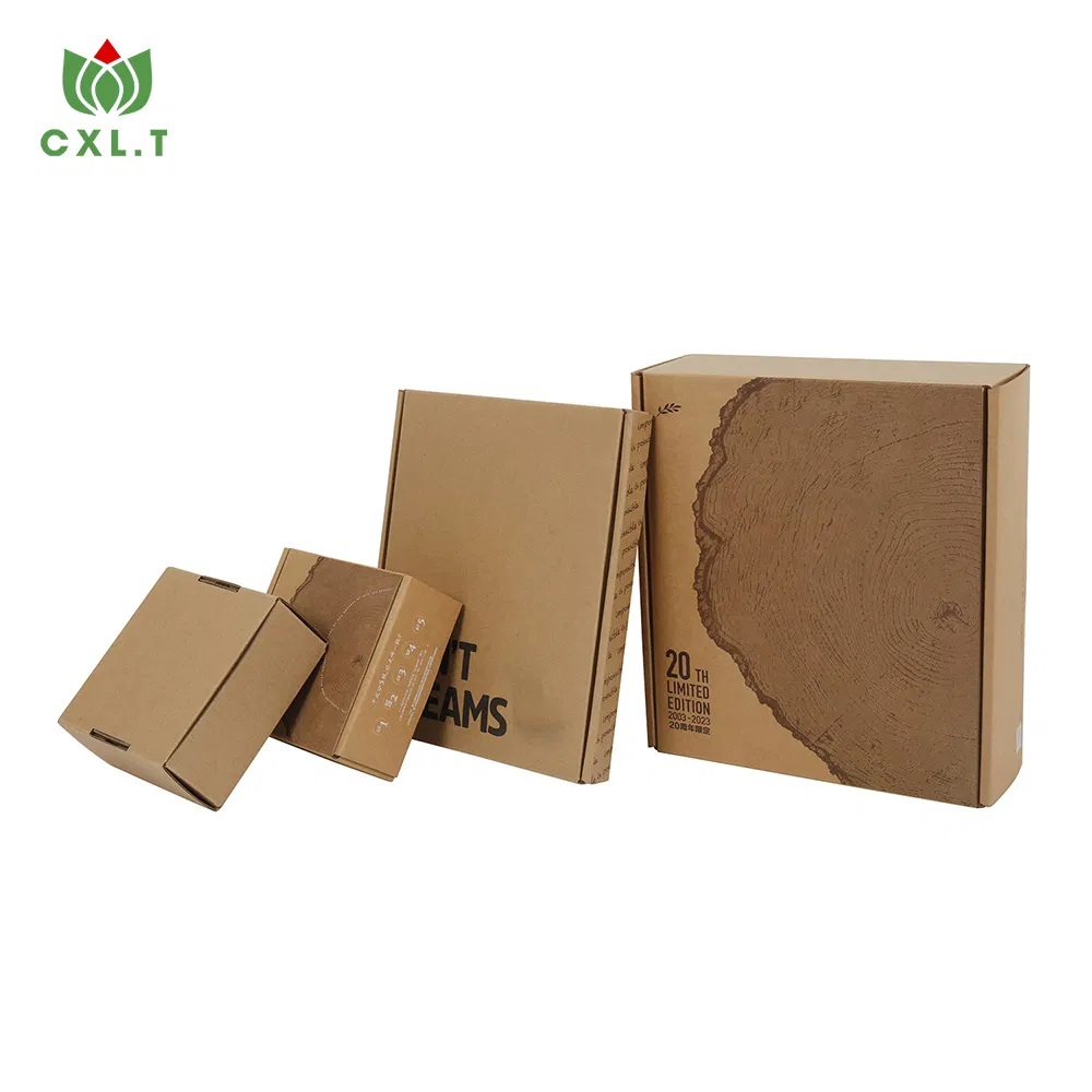 Caixa de papelão corrugado para pizza personalizada de luxo, atacado, presente, bolo