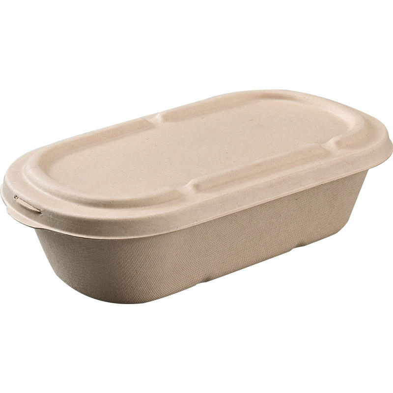 Embalagem de Pulpas de Cana-de-Açúcar Recicladas para Alimentos para Viagem, Caixa de Almoço para Salada