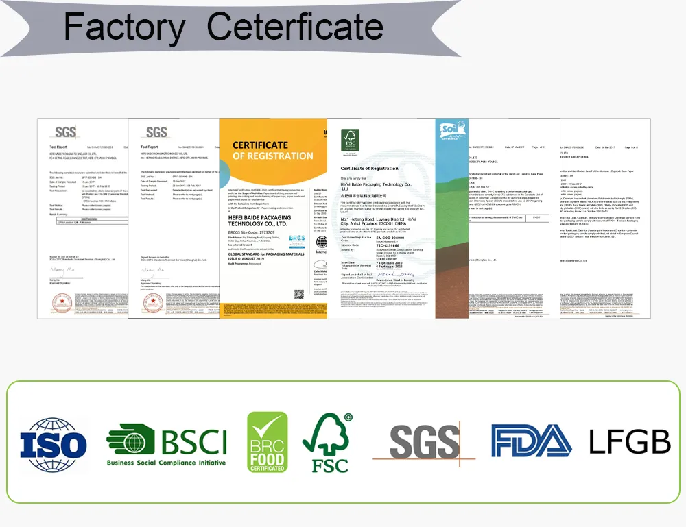 Certificação 1