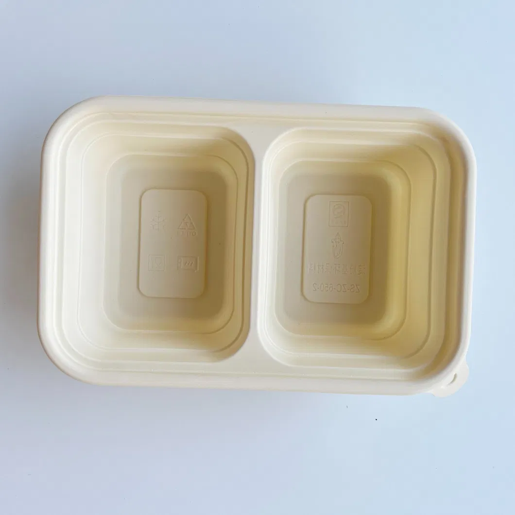 Atacado 100% Biodegradável Compostável Personalizado Papel Polpa Cana-de-açúcar Embalagem para Alimentos para Viagem