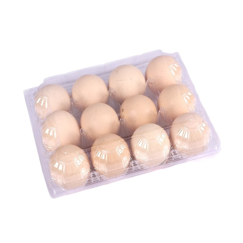 Indústria Alimentícia Comércio de Alimentos Produção de Ovos Venda de Ovos Embalagens Plásticas para Ovos