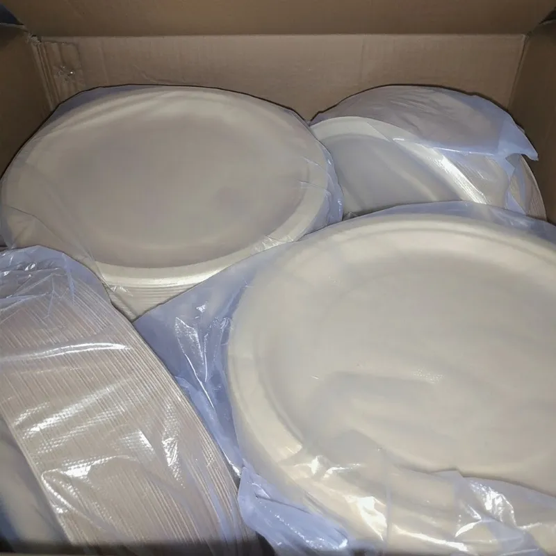 Caixa de Alimentos Descartável Biodegradável Compostável com Logotipo Personalizado Impressa Retangular Recipiente para Almoço Caixa de Almoço Cozinha Piquenique Caixa para Levar