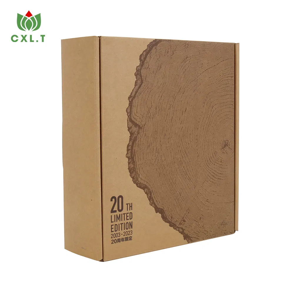 Caixa de papelão corrugado para pizza personalizada de luxo, atacado, presente, bolo