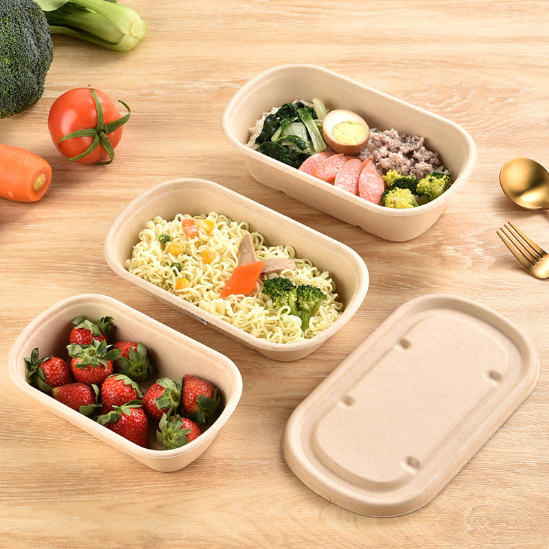Embalagem de Pulpas de Cana-de-Açúcar Recicladas para Alimentos para Viagem, Caixa de Almoço para Salada