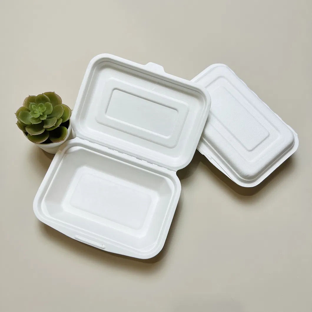 Container de Alimento Descartável de Bagasse para Comida para Viagem 9*6 Polegada Caixa Clamshell Cor Natural