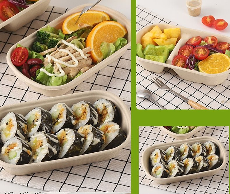 Embalagem de Pulpas de Cana-de-Açúcar Recicladas para Alimentos para Viagem, Caixa de Almoço para Salada