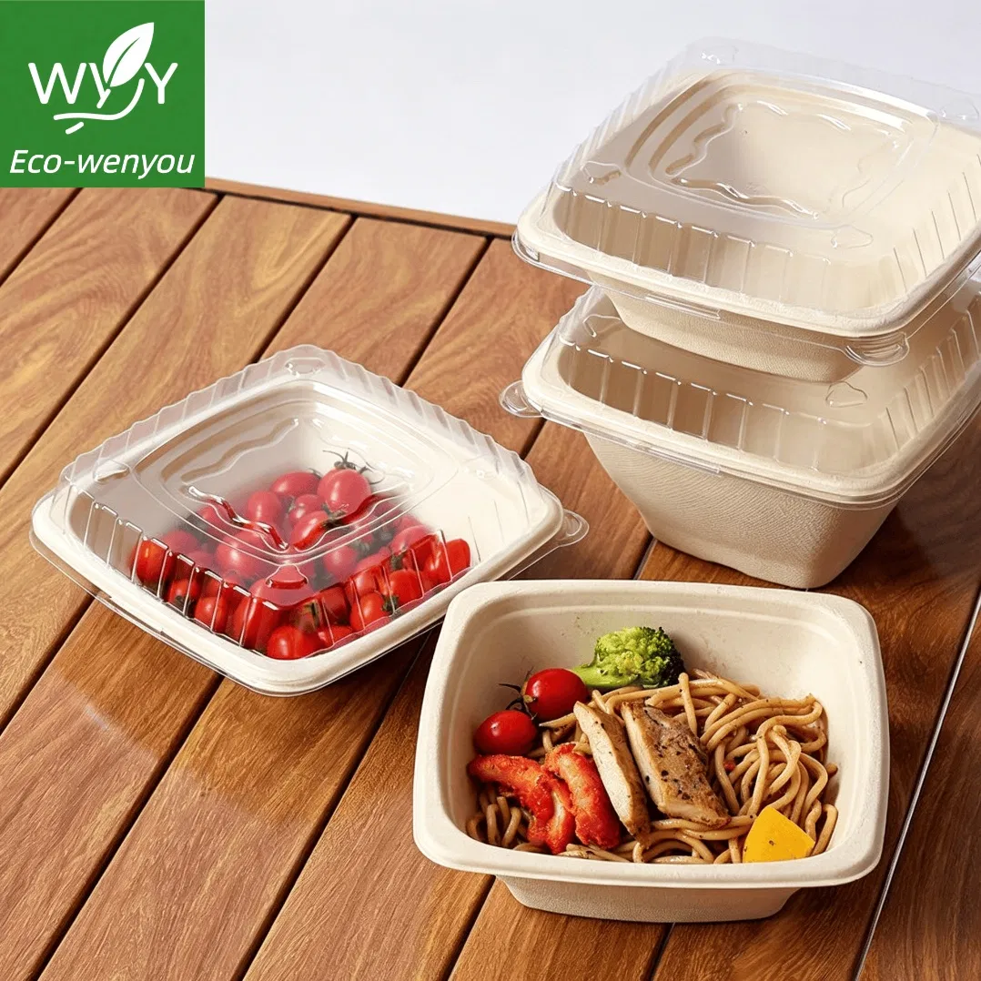 Bols de Papel de Salada Ecológicos de Bagasse de Cana-de-Açúcar para Viagem 350ml Recipiente de Embalagem para Restaurante