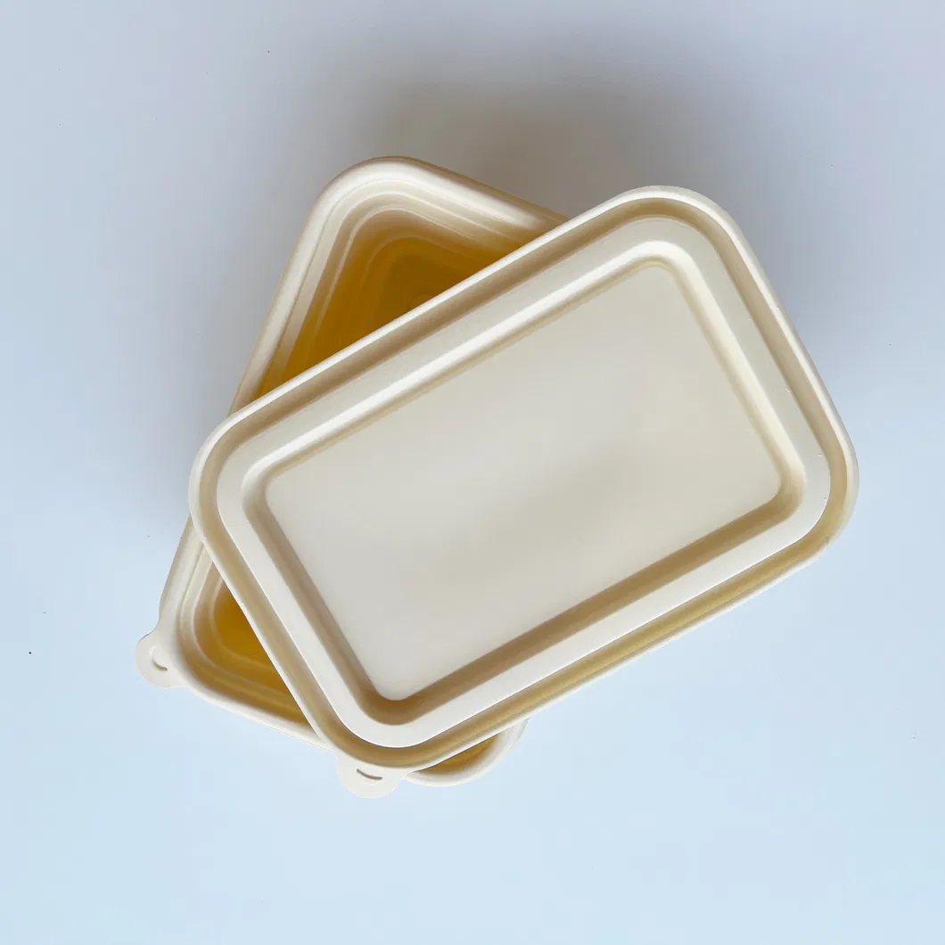 Atacado 100% Biodegradável Compostável Personalizado Papel Polpa Cana-de-açúcar Embalagem para Alimentos para Viagem