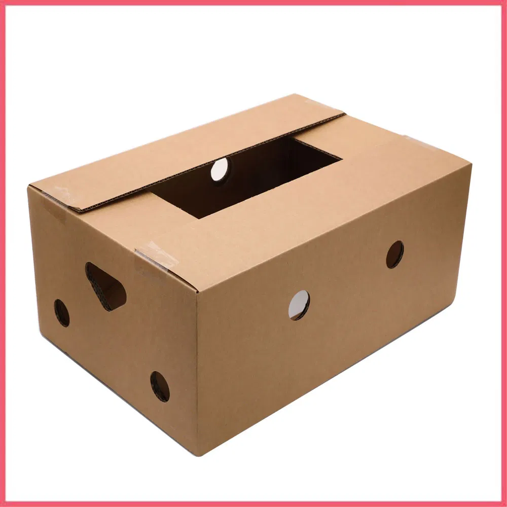 Caixa de papelão ondulado impresso para embalagem de frutas e vegetais como cereja, abacate, abacaxi, tomate, laranja, maçã, limão, manga e banana
