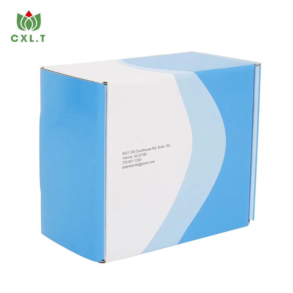 Caixa de papelão corrugado para pizza personalizada de luxo, atacado, presente, bolo