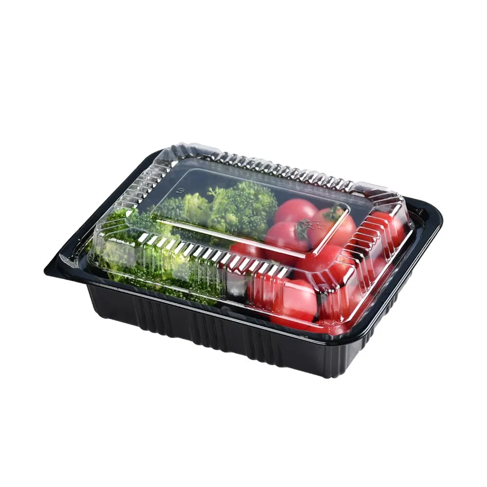 Caixa de Embalagem Descartável para Almoço Togo, Container de Alimentos de Plástico Ecológico para Viagem, Descartável e Micro-ondas, Atacado de Fábrica