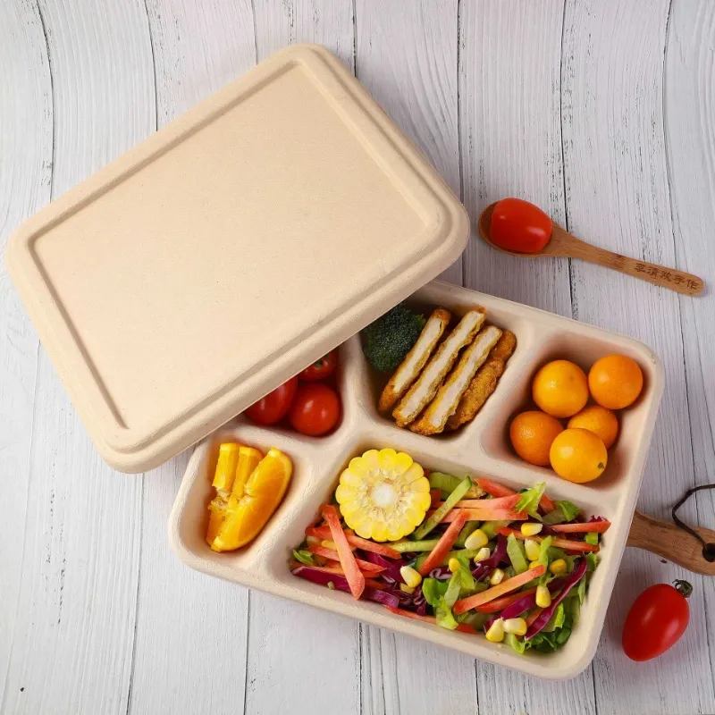 Caixa de Alimentos Descartável Biodegradável Compostável com Logotipo Personalizado Impressa Retangular Recipiente para Almoço Caixa de Almoço Cozinha Piquenique Caixa para Levar