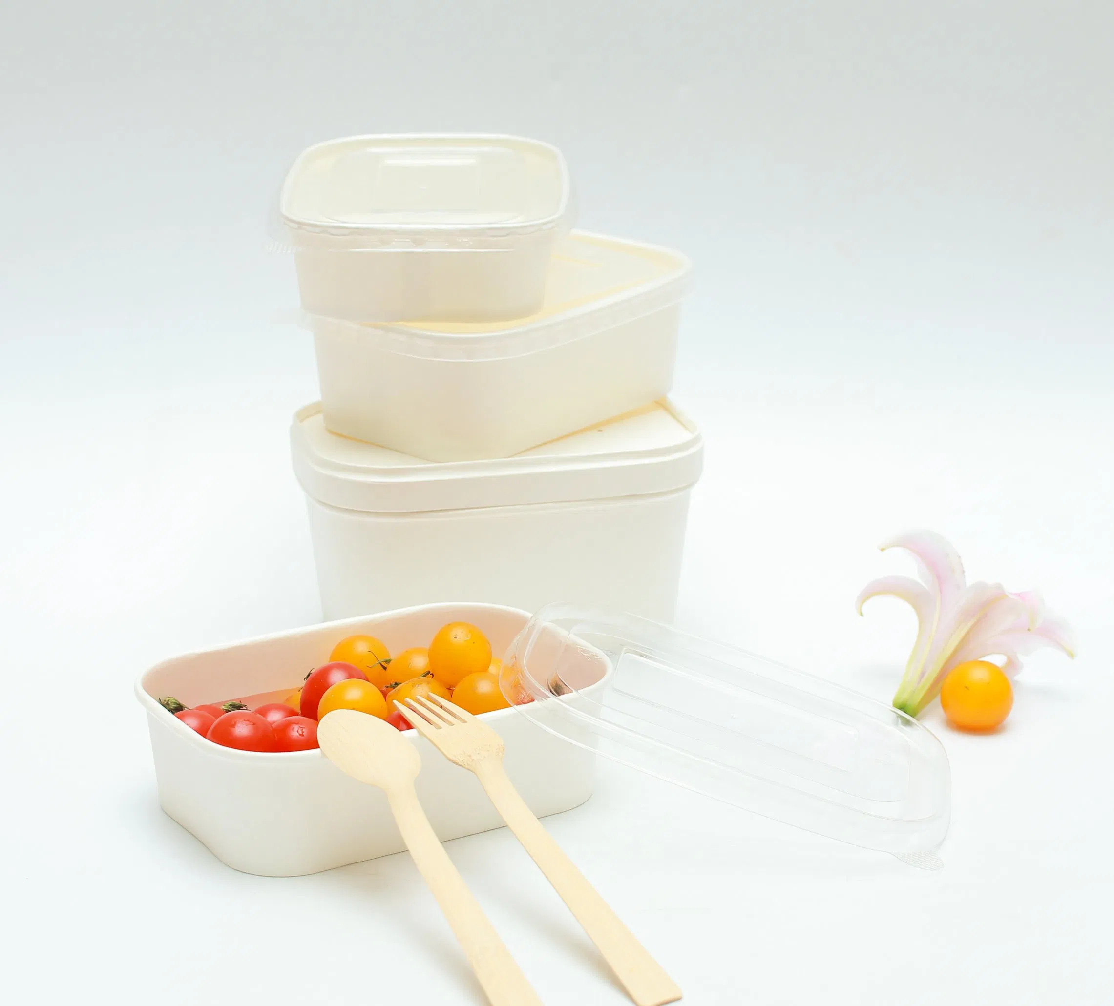 Caixa Para Levar Alumínio Bagasse Papel Polpa Biodegradável Recipiente para Alimentos