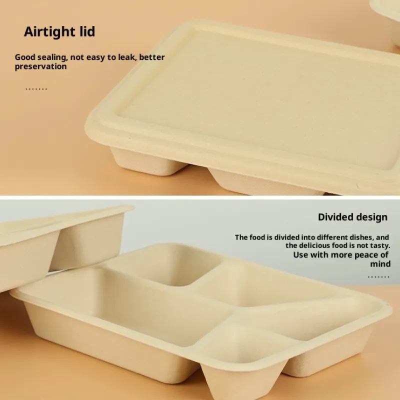 Caixa de Alimentos Descartável Biodegradável Compostável com Logotipo Personalizado Impressa Retangular Recipiente para Almoço Caixa de Almoço Cozinha Piquenique Caixa para Levar