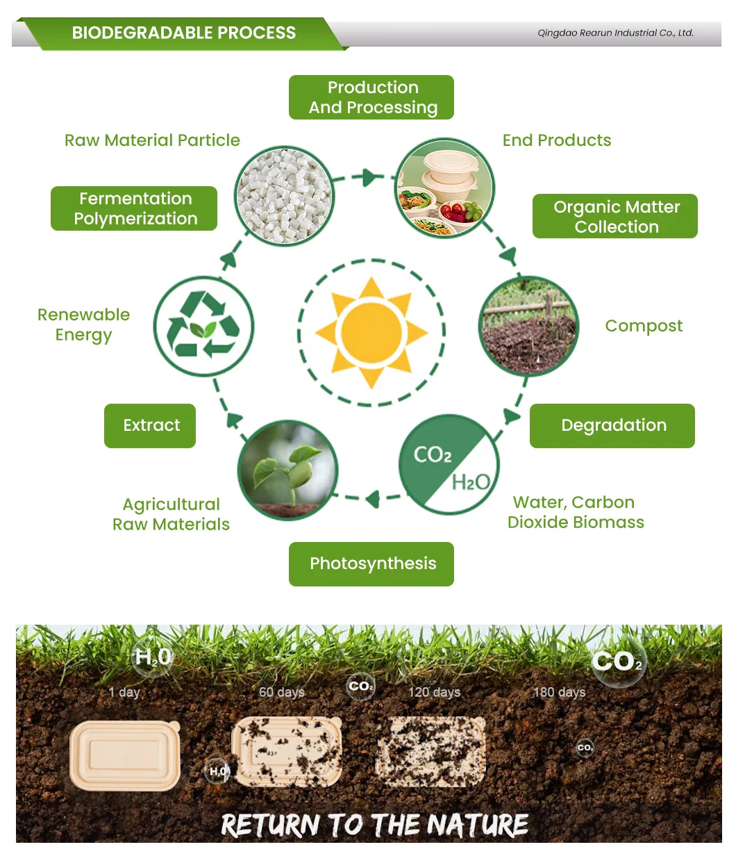 Caixas de Almoço Descartáveis para Comida, Biodegradáveis, de Amido de Milho