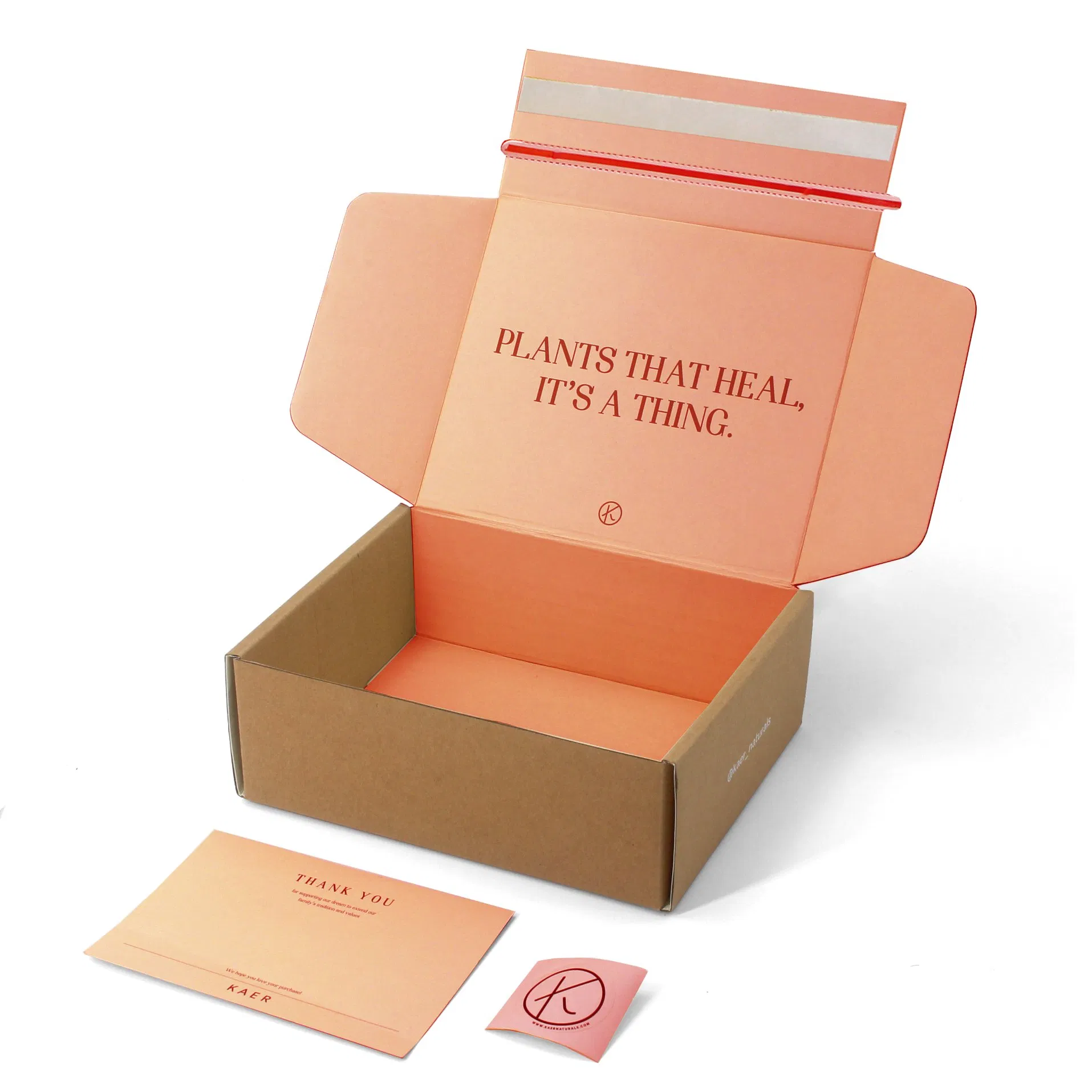 Caixa de Envio de Papelão Corrugado com Logotipo Personalizado Impresso para Fechamento de Orelha