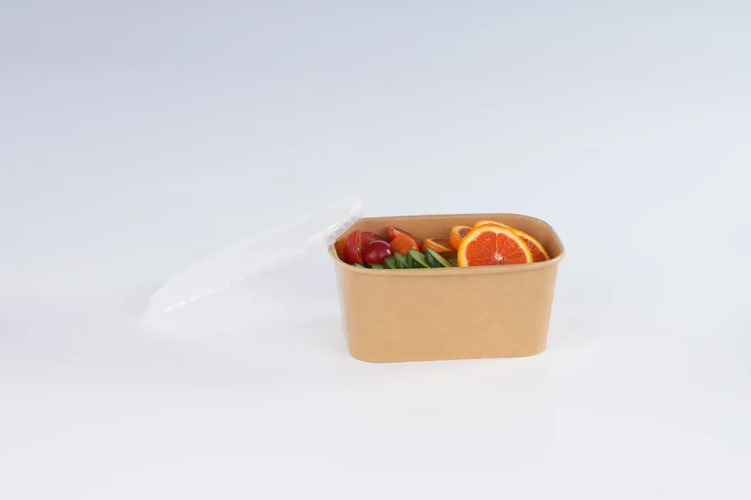 Caixa Para Levar Alumínio Bagasse Papel Polpa Biodegradável Recipiente para Alimentos