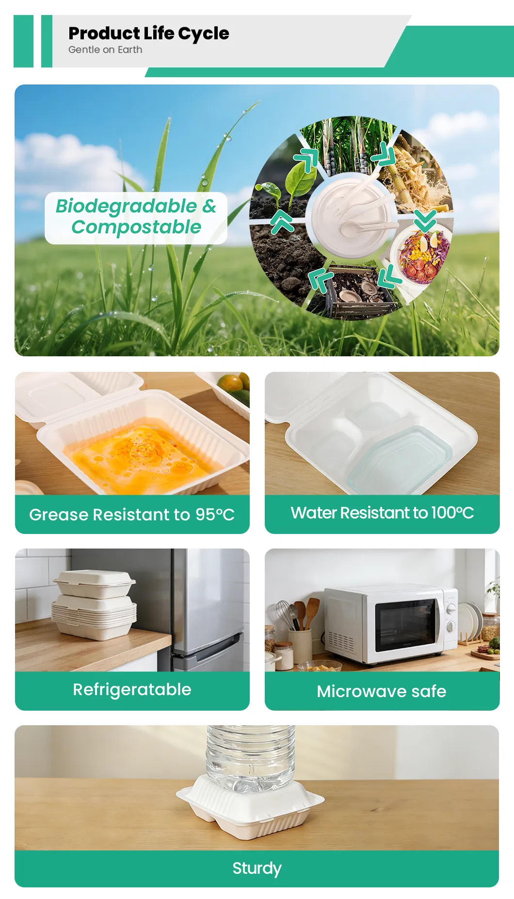 Recipientes de papel biodegradável para levar alimentos feitos de bagaço de cana-de-açúcar ecológicos