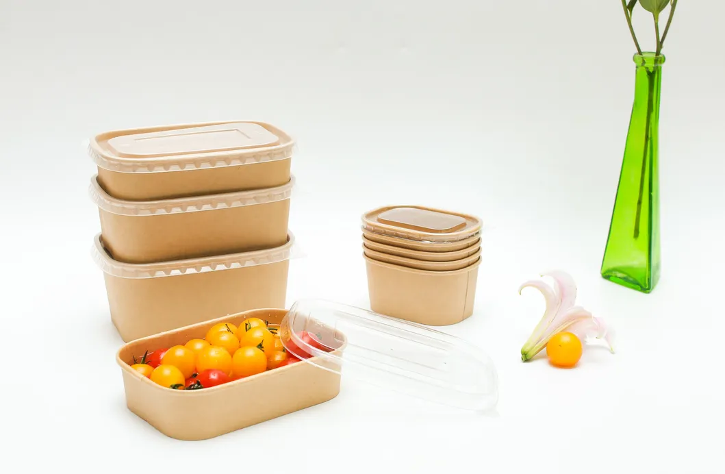Caixa Para Levar Alumínio Bagasse Papel Polpa Biodegradável Recipiente para Alimentos