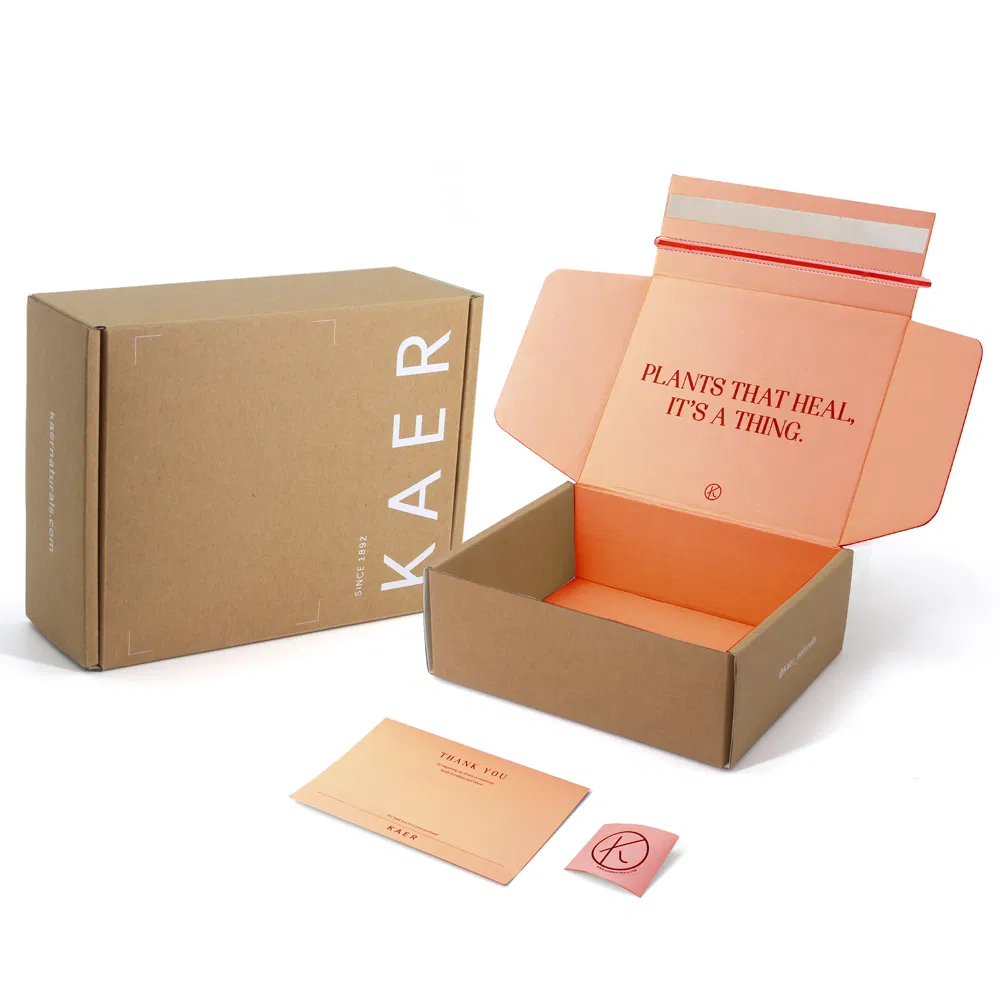 Caixa de Envio de Papelão Corrugado com Logotipo Personalizado Impresso para Fechamento de Orelha