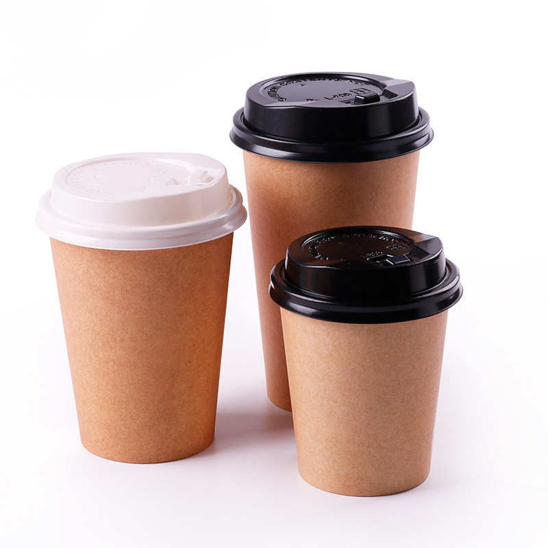 12 Copo de Papel Descartável de Parede Simples de 8 Oz para Bebida Quente de Café