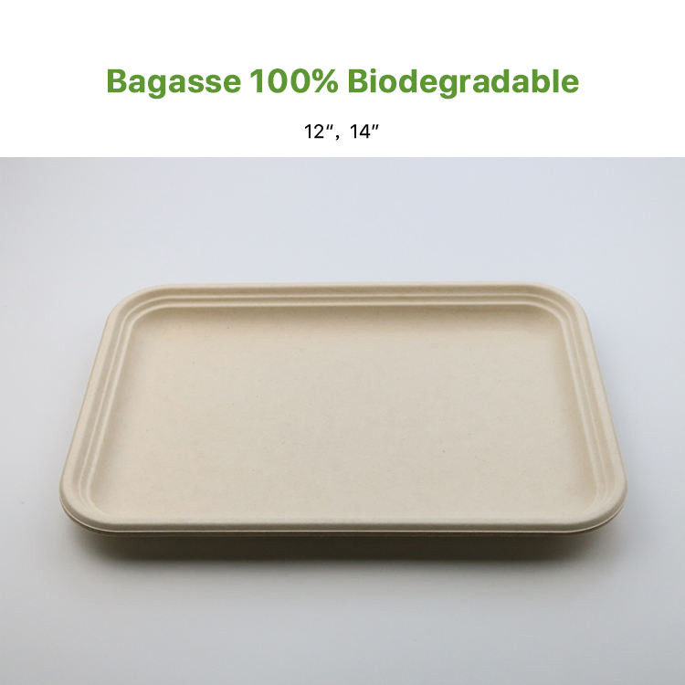 Prato de Papel de Bagaço de Cana-de-Açúcar Descartável para Alimentos e Carnes