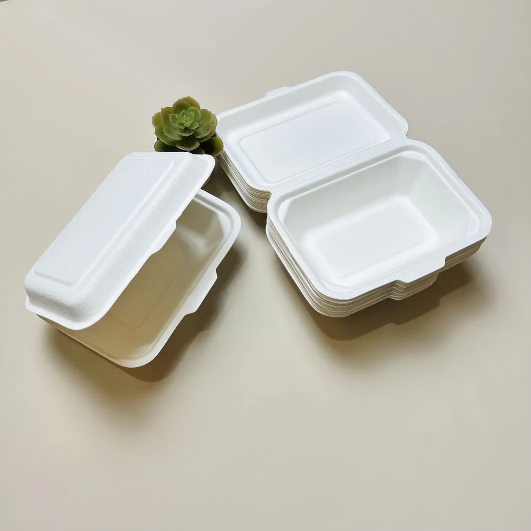 Container de Alimento Descartável de Bagasse para Comida para Viagem 9*6 Polegada Caixa Clamshell Cor Natural