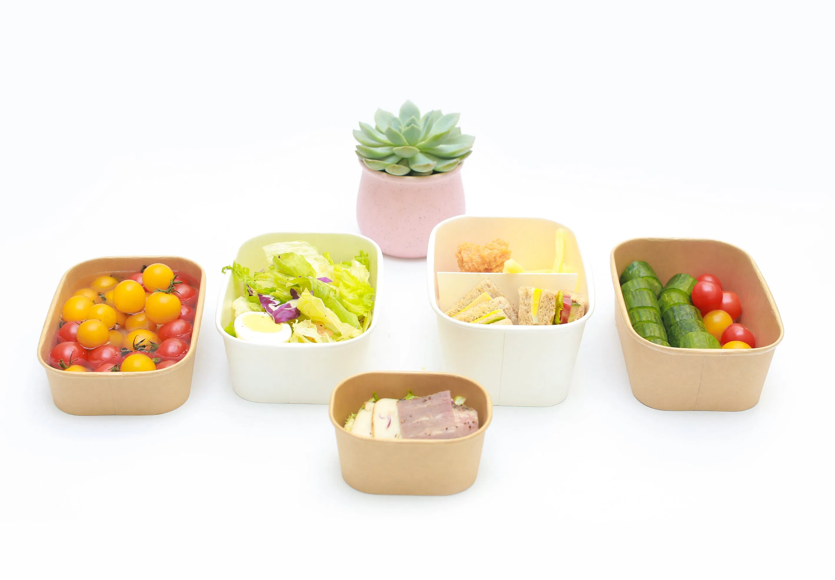 Caixa Para Levar Alumínio Bagasse Papel Polpa Biodegradável Recipiente para Alimentos