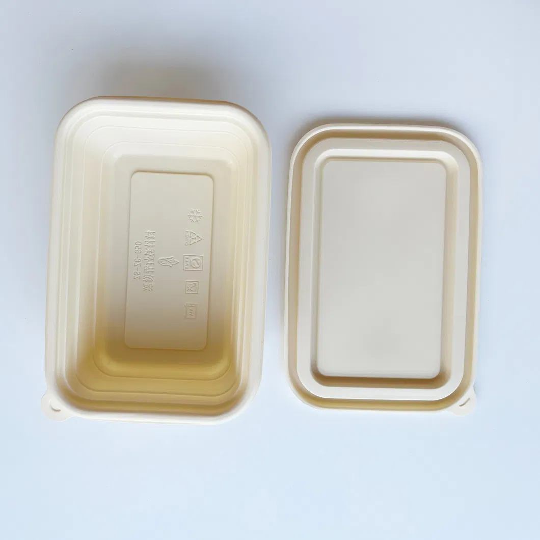 Atacado 100% Biodegradável Compostável Personalizado Papel Polpa Cana-de-açúcar Embalagem para Alimentos para Viagem